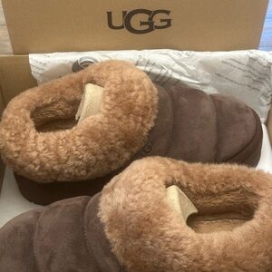 Authentic Ugg Tazzlita Slippers